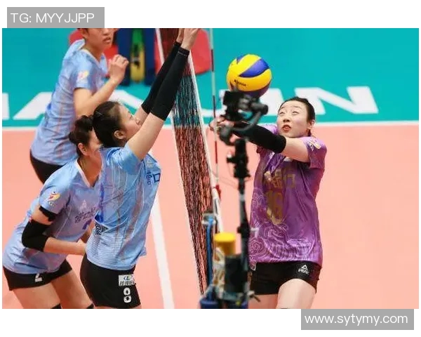 武汉排球队意识对比深度解析与发展趋势探讨