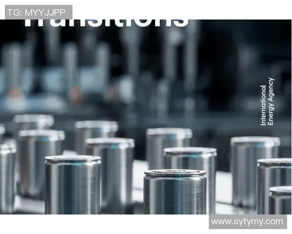 武汉乒乓球队防反革新之路探索与实践的深度剖析